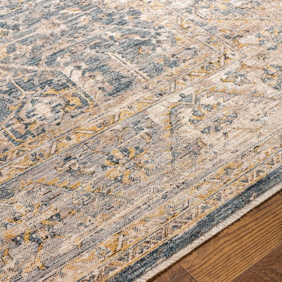 Surya Aspendos Denim Rug 2'7" X 4'