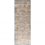 Surya Aspendos Denim Rug 2'7" X 7'3"