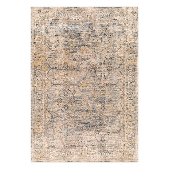 Surya Aspendos Gray Rug 10' X 14'