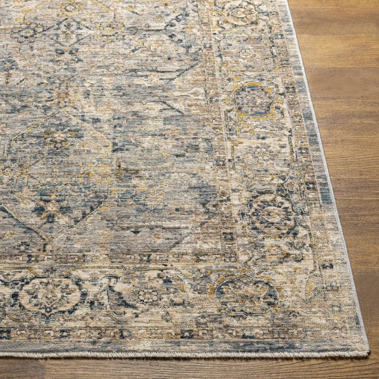 Surya Aspendos Gray Rug 10' X 14'