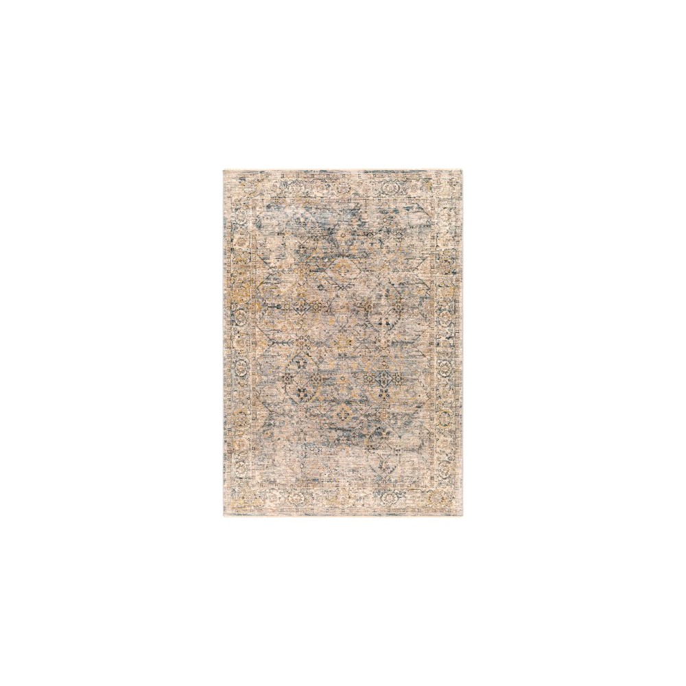 Surya Aspendos Gray Rug 2'7" X 4'