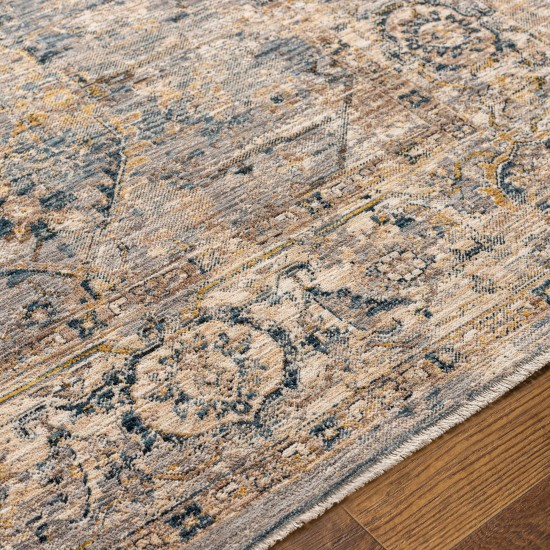 Surya Aspendos Gray Rug 2'7" X 7'3"