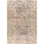 Surya Aspendos Gray Rug 5' X 7'5"