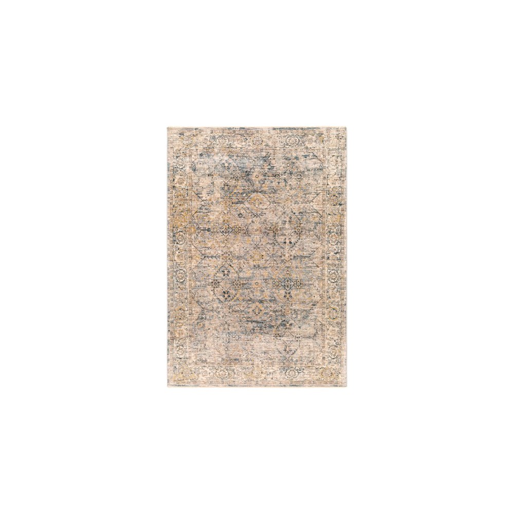 Surya Aspendos Gray Rug 5' X 7'5" Surya Aspendos Gray Rug 5' X 7'5"