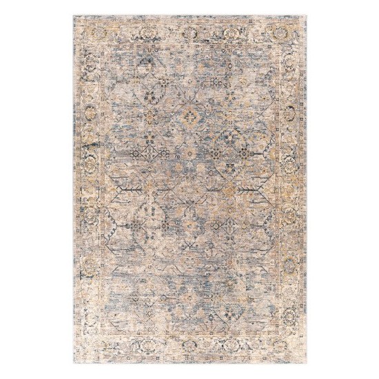 Surya Aspendos Gray Rug 6'7" X 9'6"