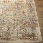 Surya Aspendos Light Gray Rug 10' X 14'