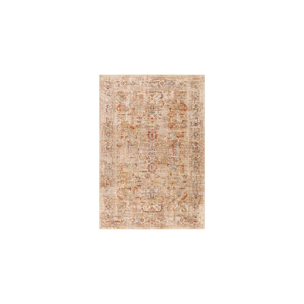 Surya Aspendos Light Gray Rug 2'7" X 4' Surya Aspendos Light Gray Rug 2'7" X 4'