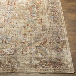 Surya Aspendos Light Gray Rug 2'7" X 4'