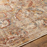 Surya Aspendos Light Gray Rug 2'7" X 4'