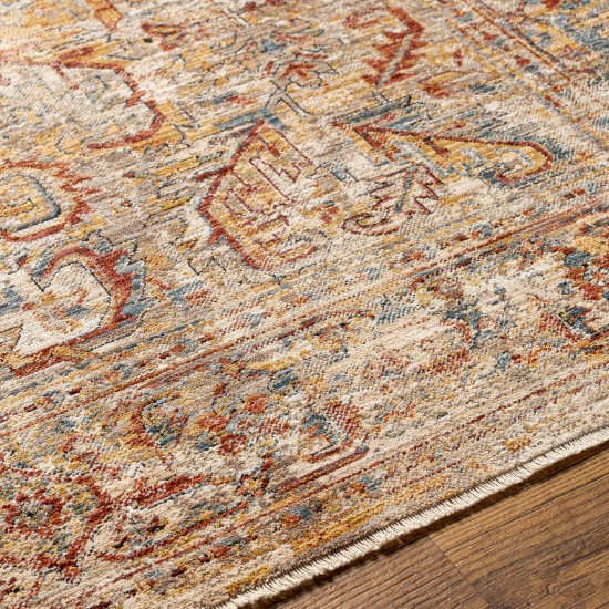 Surya Aspendos Light Gray Rug 2'7" X 4'
