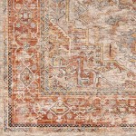 Surya Aspendos Rug 2' X 3' - Brick Red & Teal