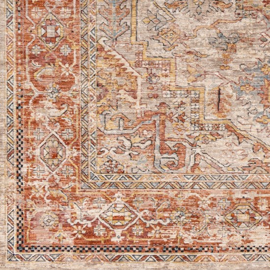 Surya Aspendos Rug 2'7" X 10' - Brick Red & Teal