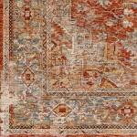 Surya Aspendos Brick Red Rug 2' X 3'