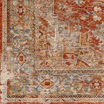 Surya Aspendos Brick Red Rug 2'7" X 10'