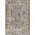 Surya Aspendos Teal Rug 10' X 14'