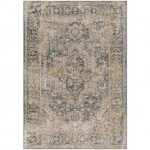 Surya Aspendos Teal Rug 2' X 3'