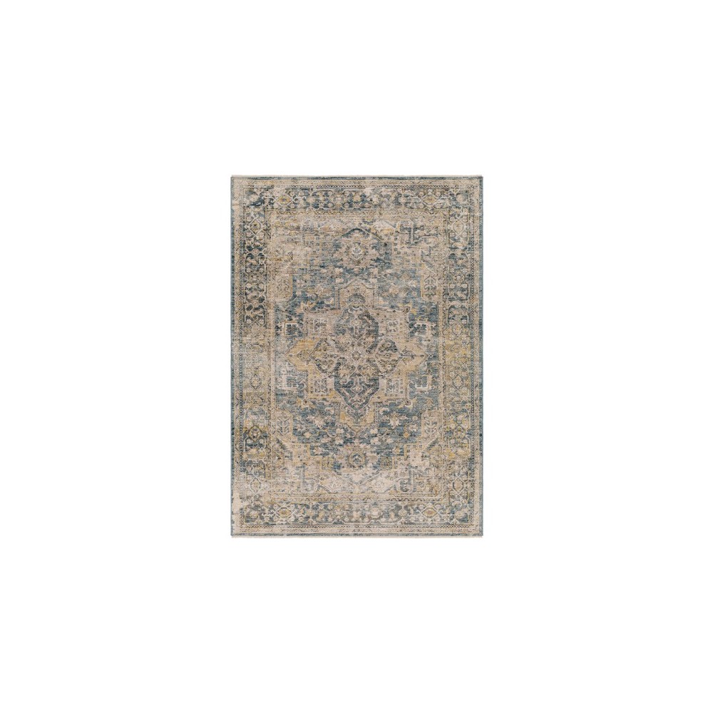 Surya Aspendos Teal Rug 2' X 3' Surya Aspendos Teal Rug 2' X 3'