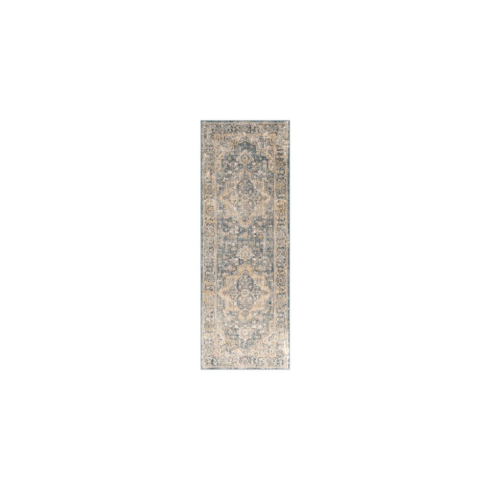 Surya Aspendos Teal Rug 2'7" X 7'3" Surya Aspendos Teal Rug 2'7" X 7'3"