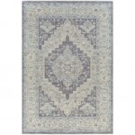 Surya Avant Garde Rug 2' X 3' Gray