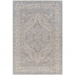 Surya Avant Garde Rug 10' X 14' Light Gray