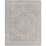 Surya Avant Garde Rug 7'10" X 10'3" Light Gray