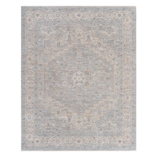 Surya Avant Garde Rug 7'10" X 10'3" Light Gray