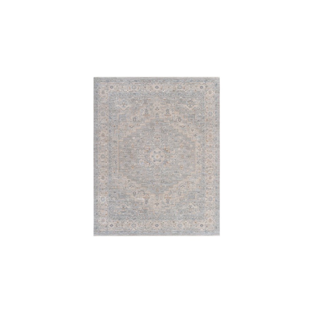 Surya Avant Garde Rug 7'10" X 10'3" Light Gray Surya Avant Garde Rug 7'10" X 10'3" Light Gray