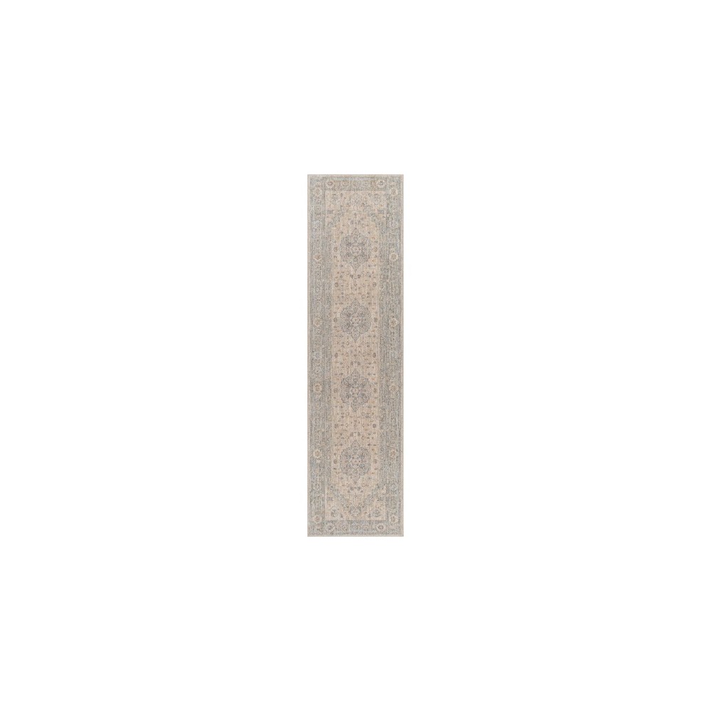 Surya Avant Garde Rug 2'7" X 10' - Light Gray