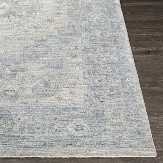 Surya Avant Garde Rug 2'7" X 10' - Light Gray