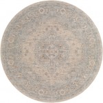 Surya Avant Garde Rug 5'3" Round - Light Gray