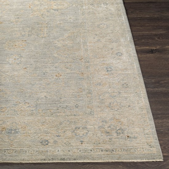 Surya Avant Garde Rug 2'7" X 7'3" (Light Gray)