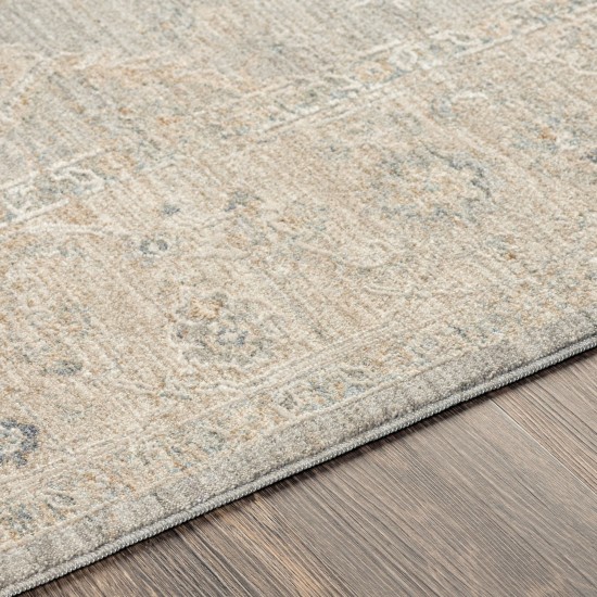 Surya Avant Garde Rug 2'7" X 7'3" (Light Gray)