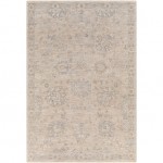 Surya Avant Garde Light Gray Rug 10' X 14'