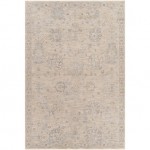 Surya Avant Garde Light Gray Rug 6'7" X 9'6"