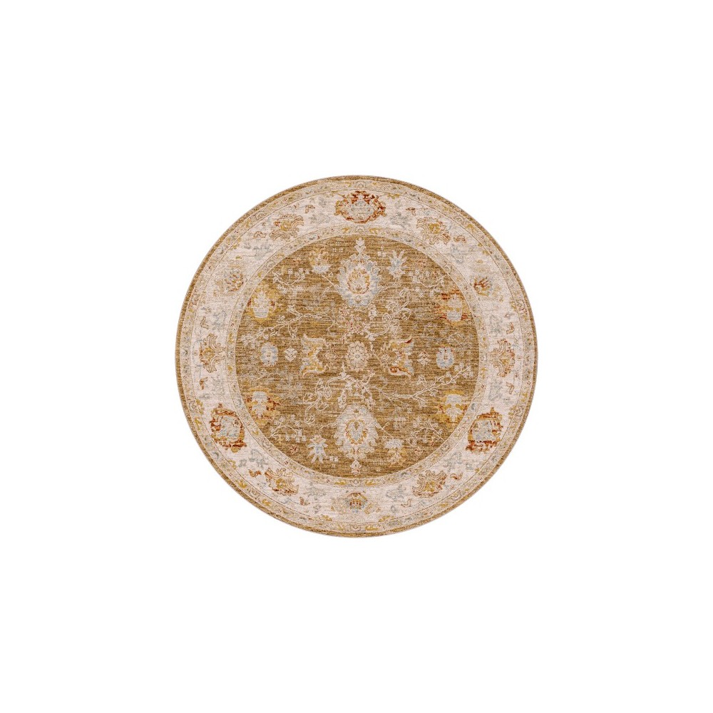 Surya Avant Garde Brown Rug 5'3" Round