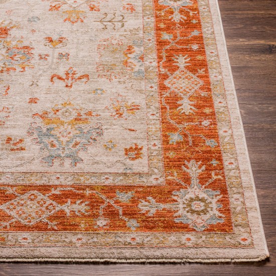 Surya Avant Garde Rug 12' X 15' Brick Red