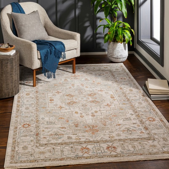 Surya Avant Garde Rug 10' X 14' (Sage)