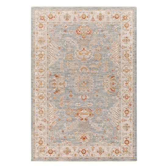 Surya Avant Garde Rug 10' X 14' - Denim, Sage