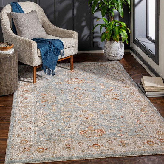 Surya Avant Garde Rug 10' X 14' - Denim, Sage