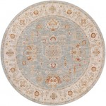 Surya Avant Garde Rug 6'7" Round - Denim, Sage