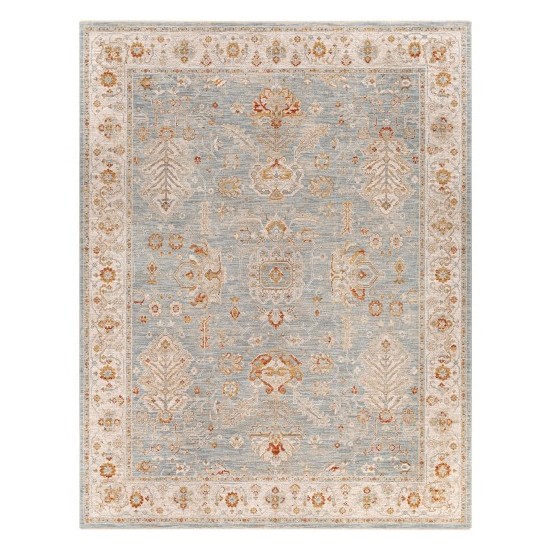 Surya Avant Garde Rug 7'10" X 10'3" - Denim, Sage