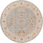 Surya Avant Garde Rug 7'10" Round - Denim, Sage