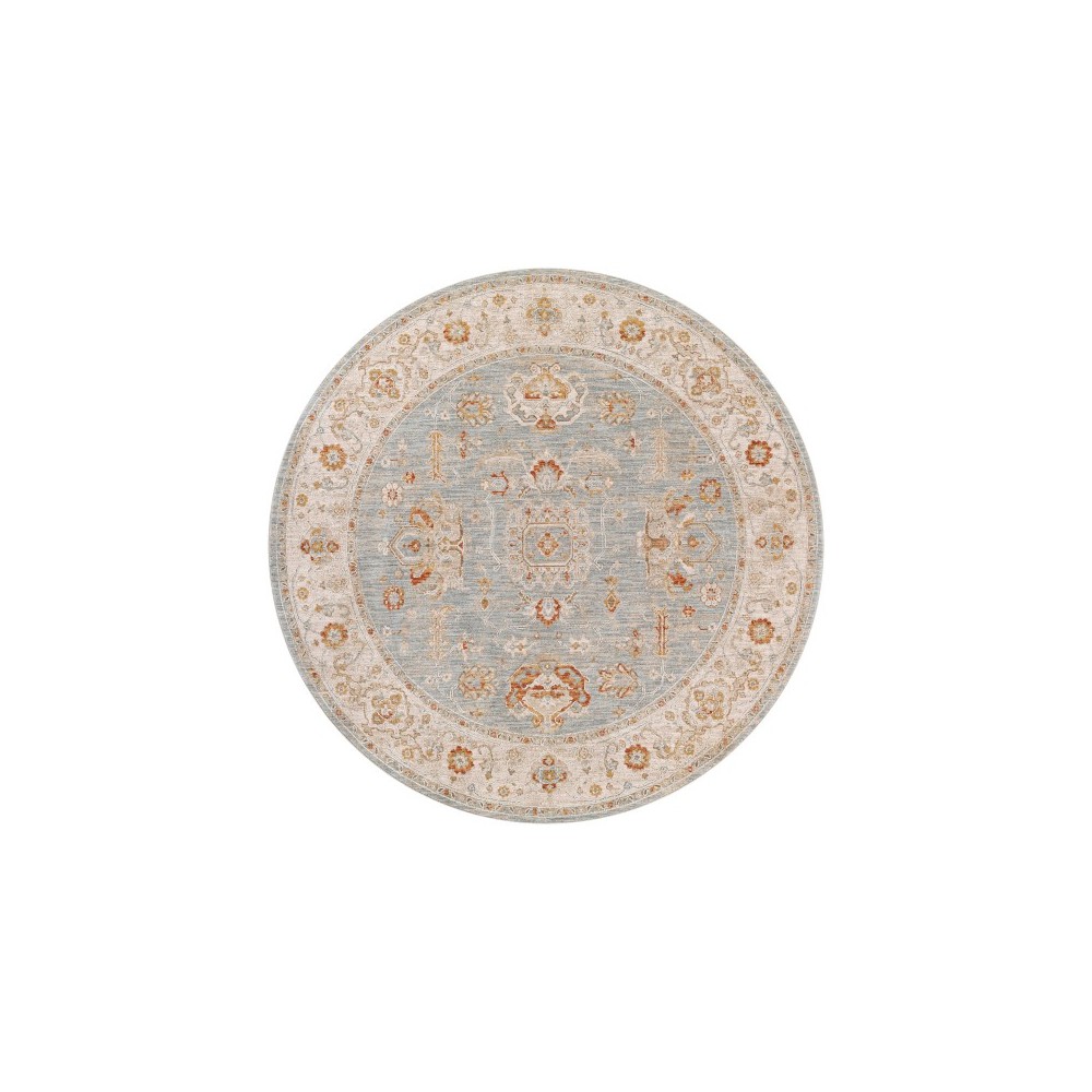 Surya Avant Garde Rug 7'10" Round - Denim, Sage