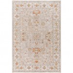 Surya Avant Garde Sage Rug 2' X 3'