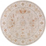 Surya Avant Garde Sage Rug 5'3" Round