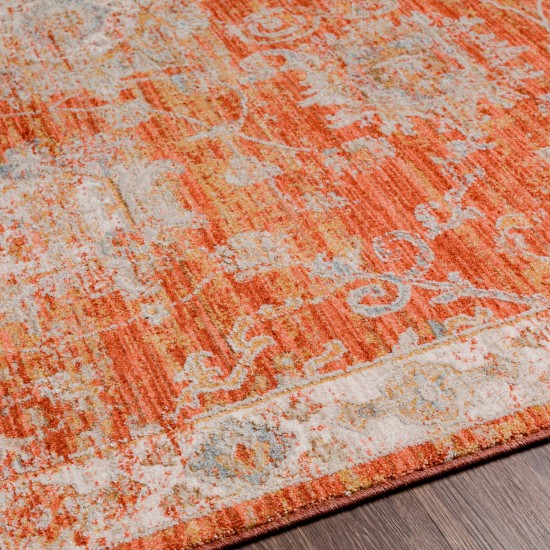 Surya Avant Garde Rug 2'7" X 7'3" - Brick Red, Olive