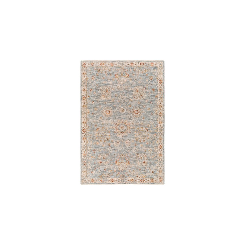 Surya Avant Garde Rug 2'7" X 4' - Denim, Light Gray