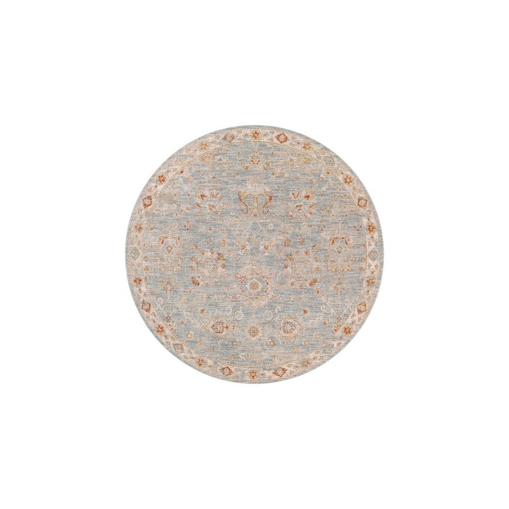 Surya Avant Garde Rug 5'3" Round - Denim, Light Gray