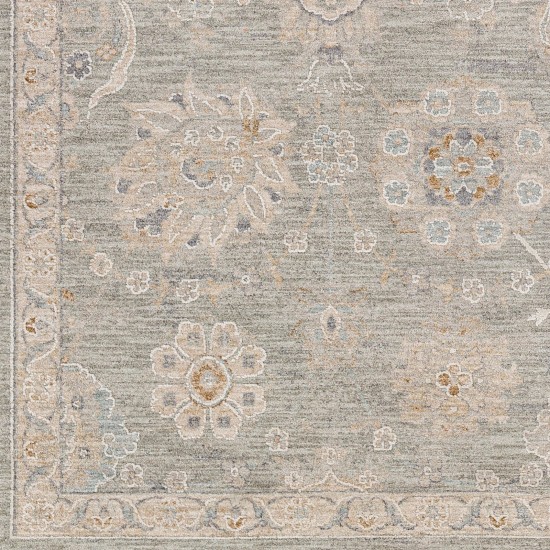 Surya Avant Garde Rug 2' X 3' - Dusty Sage, Light Beige