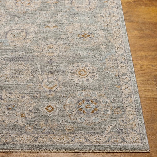 Surya Avant Garde Rug 2'7" X 4' - Dusty Sage, Light Beige